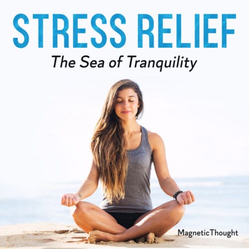 Stress Relief – The Sea of Tranquility
