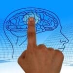 Mind Mapping Tools to Help You Organize Your Thoughts
